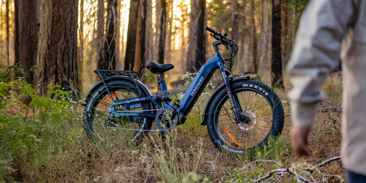 EZbike-D5 2.0 Step-Through-Himiway